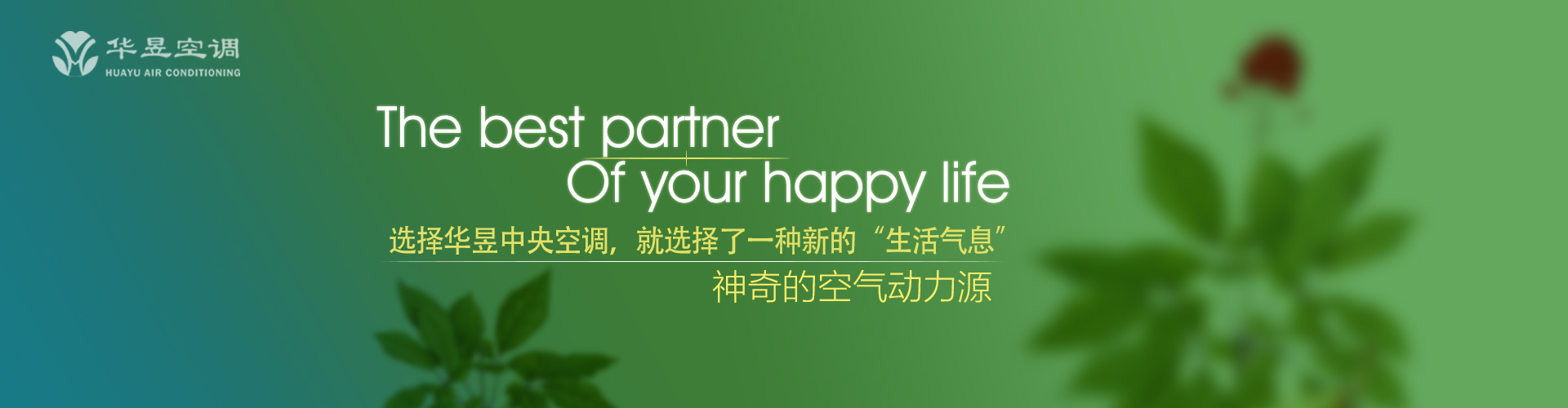 娱乐